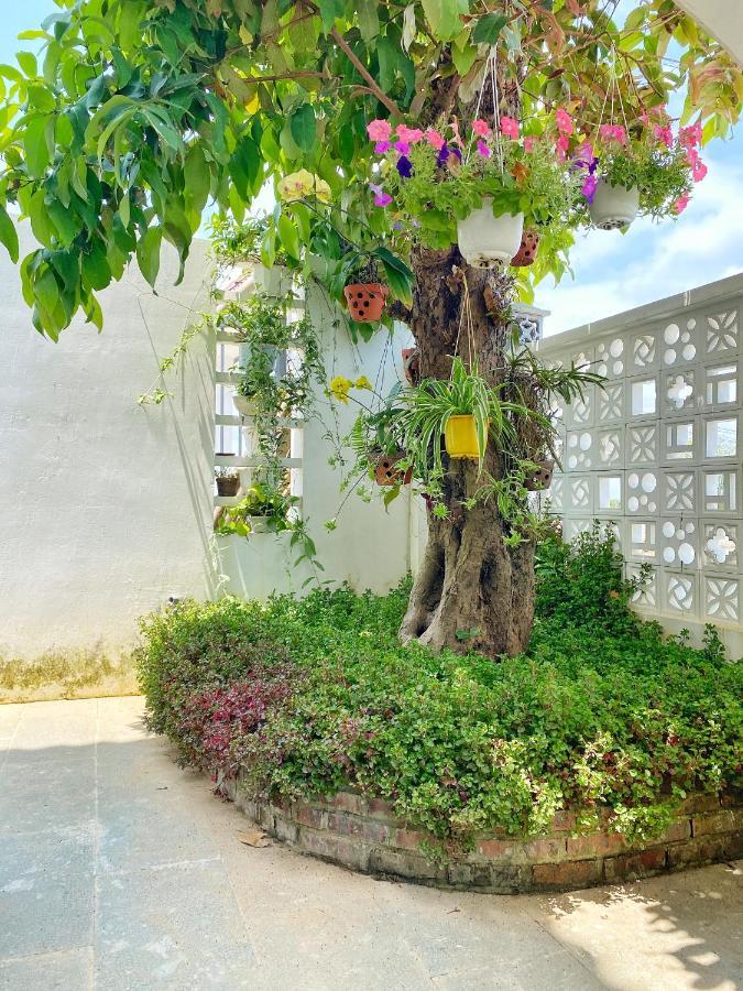 Apartament Hoi An Cabbage Garden Zewnętrze zdjęcie